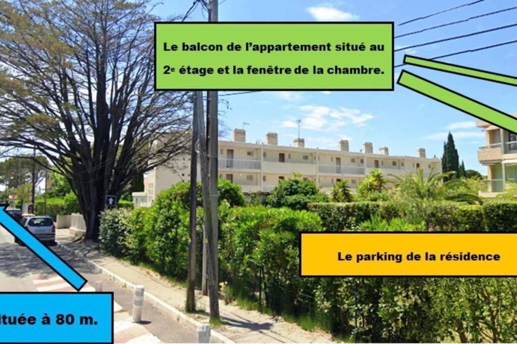Appartement Le Sof Paradis Grand T2 Sur La Des Lecques *
