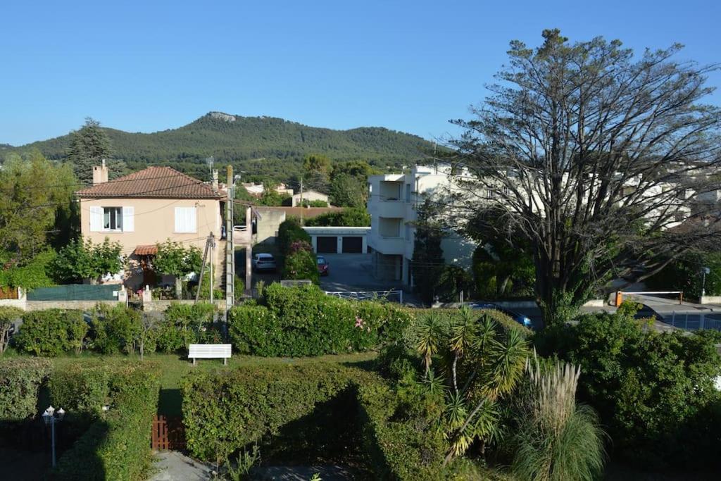 Appartement Le Sof Paradis Grand T2 Sur La Des Lecques *